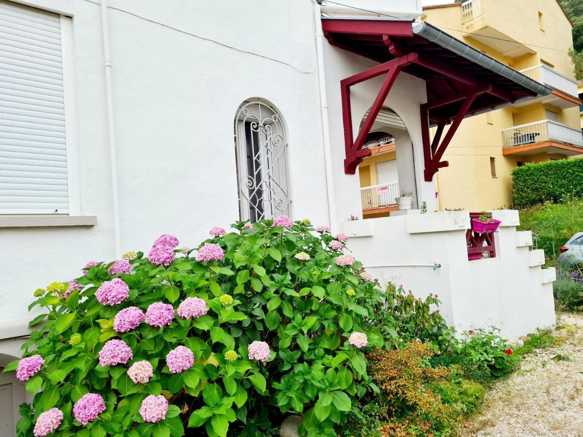 Villa La Closeraie Amélie-les-Bains-Palalda Exterior photo